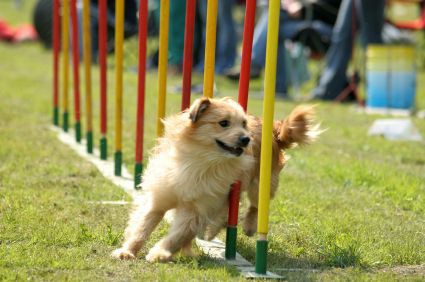 Slalom